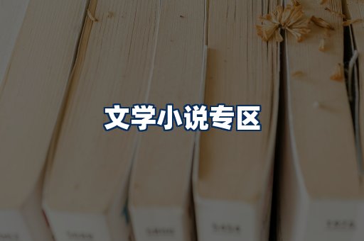 文学小说PDF展示